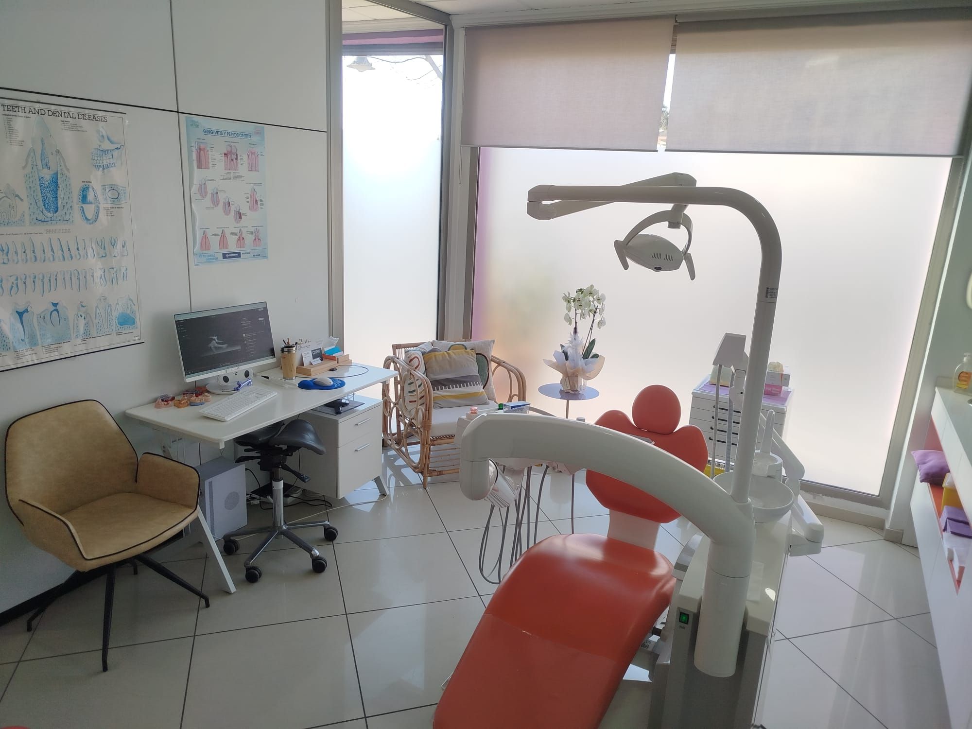 Zona de consulta con escritorio, ordenador y láminas dentales en la pared
